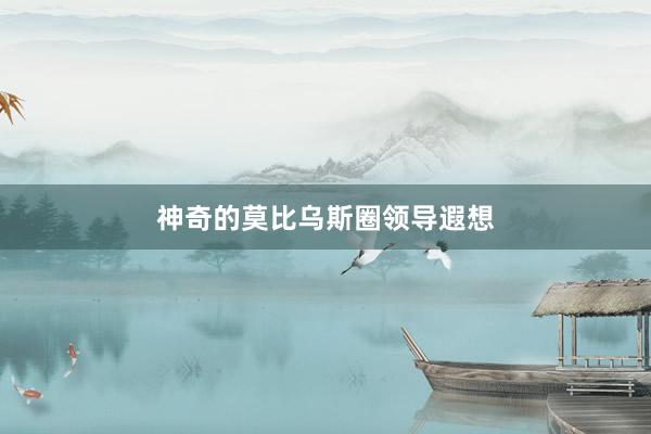 神奇的莫比乌斯圈领导遐想