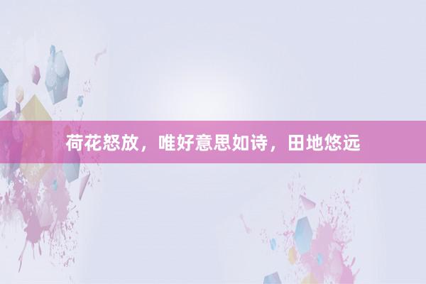 荷花怒放，唯好意思如诗，田地悠远