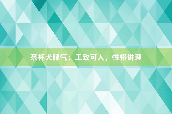 茶杯犬脾气：工致可人，性格讲理