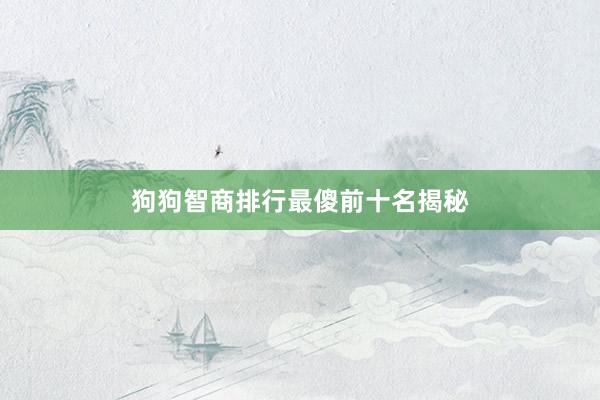狗狗智商排行最傻前十名揭秘