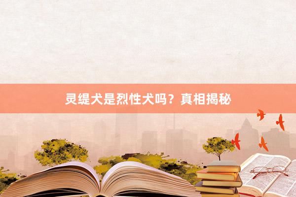 灵缇犬是烈性犬吗？真相揭秘
