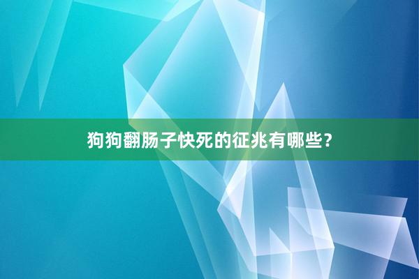 狗狗翻肠子快死的征兆有哪些？